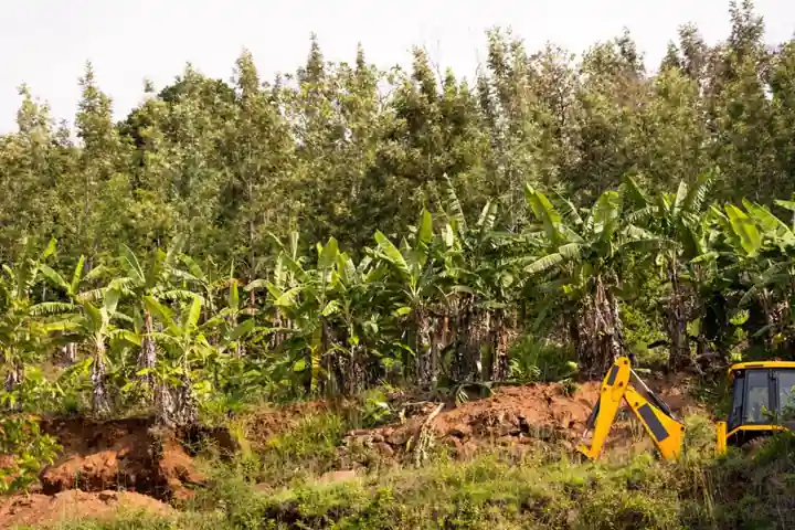 Road Roller vs Backhoe Loader: 2026 Spec Decision Map