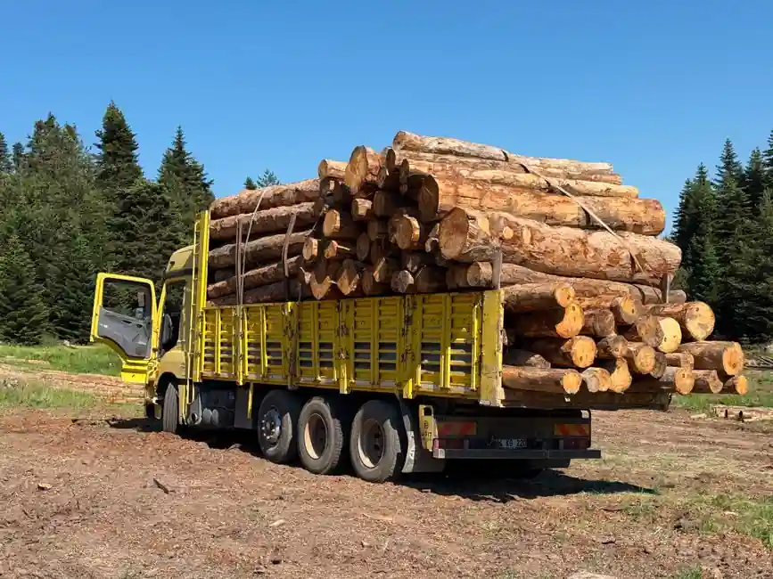 Rotary Drilling Rig Selection for Forestry: Spec Map and Site-Fit Criteria