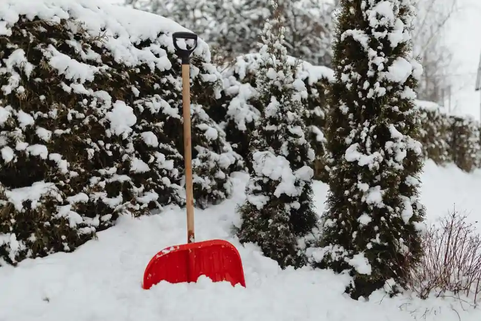 Rough terrain forklift selection for snow removal: drivetrain, clearance, and attachment