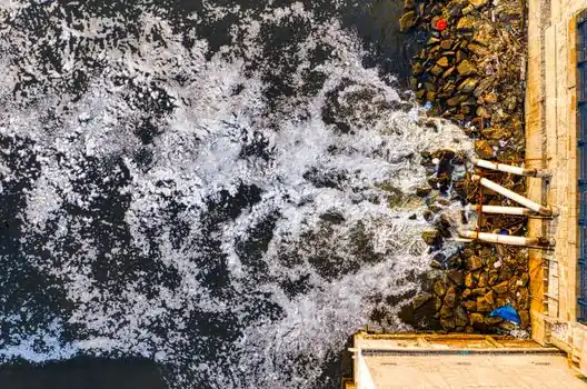 Screw Pump selection for desalination - Comparison: Screw Pump vs Multistage Centrifugal vs Plunger Pump