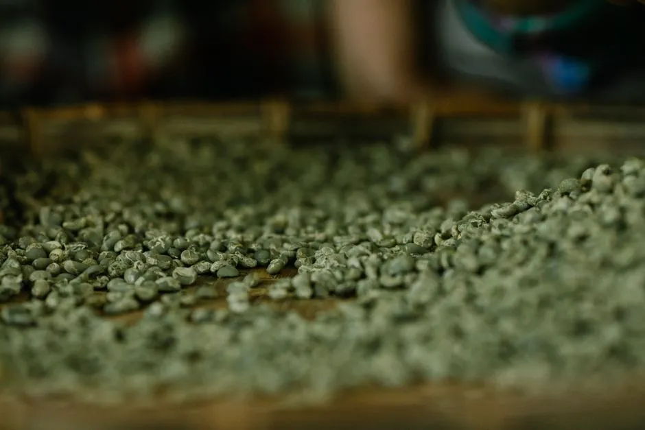 Silent Chain Selection for Automotive Production: Spec Map