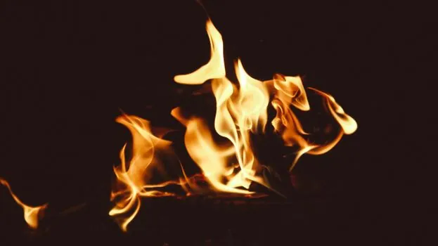 does a smoke detector detect combustible gas as well as smoke? - Combined Units, Nuisance Trips, and Limits