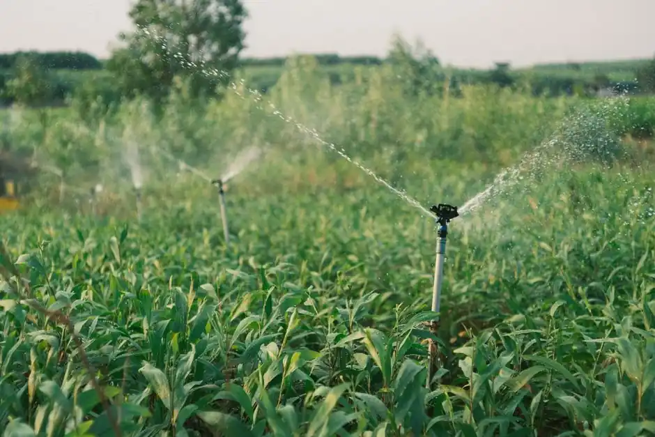 Solenoid Valve Selection for Irrigation: Pilot vs Direct-Acting, 24 VAC Coils, and Water