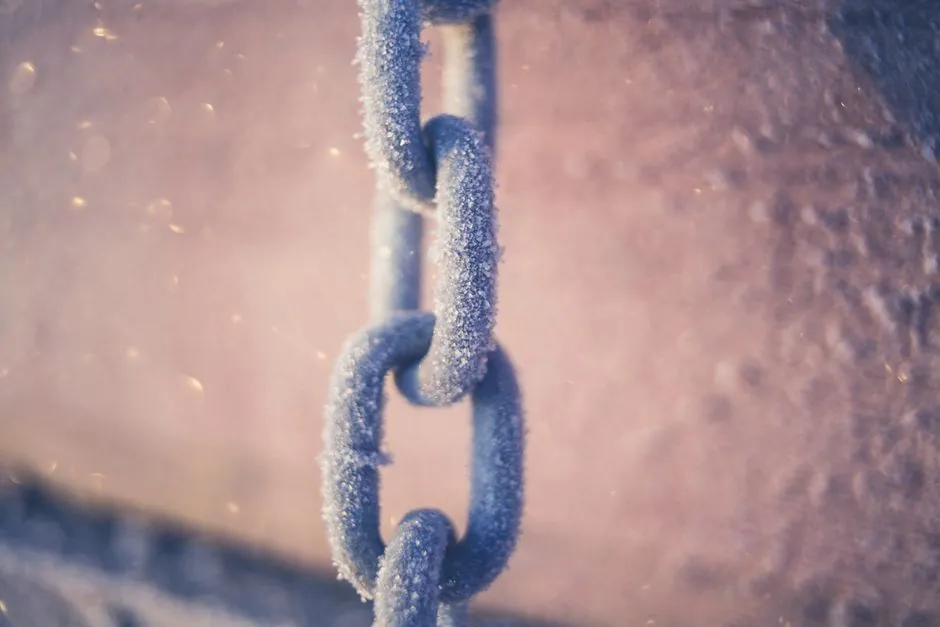 Sourcing cold chain equipment from China: spec-first buyer's field guide