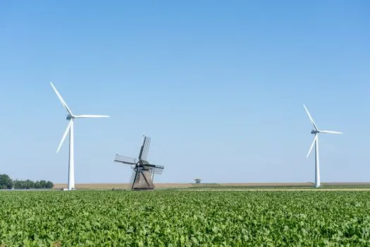 wind turbine blade sourcing from China guide - Top Supplier Tier: Who Actually Holds the Capacity