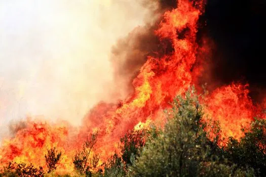Explosion-Proof Electrical selection for firefighting - Integration with Fire Alarm and Suppression Loops