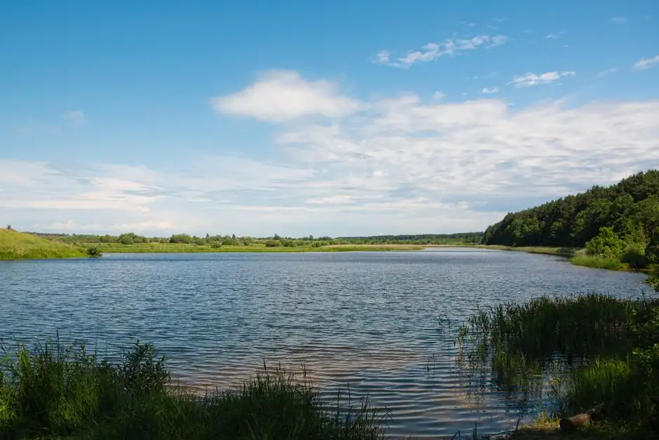Spec-Map: Picking a Dissolved Oxygen Meter for Water Treatment