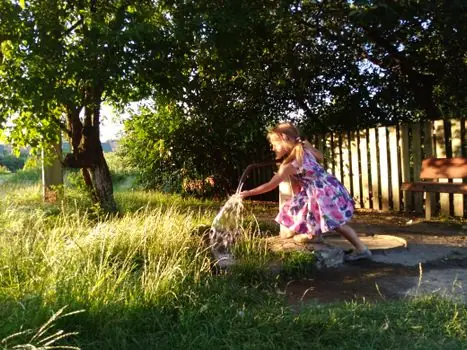 Submersible Pump advantages and disadvantages - Who Should Pick a Submersible Pump, and Who Should Not