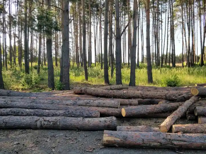 Tank cleaning machines for forestry: selection map and spec criteria