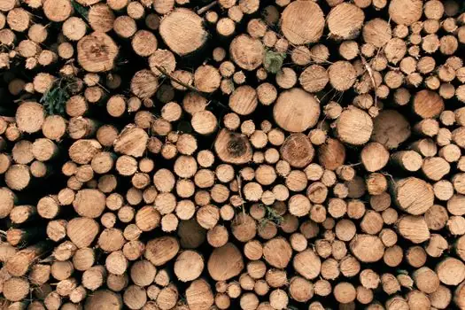 Tank Container selection for forestry - Spec comparison: the four forestry-viable options