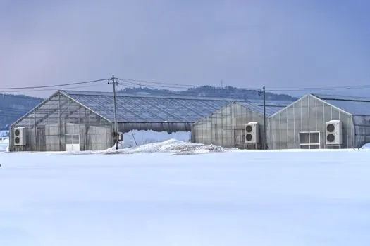Tank Container specifications for snow removal - Low-Temperature and Baffling Behaviour
