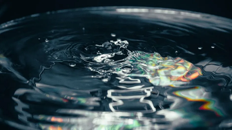 Water in Bisphenol-Cured FKM Vulcanization: Byproduct, Not Catalyst