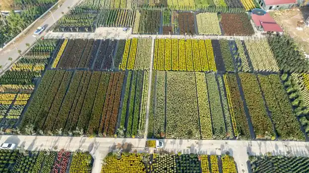 why do some plants standardize on PROFINET while machine builders prefer EtherCAT? - Who each protocol is for, and who should not pick it