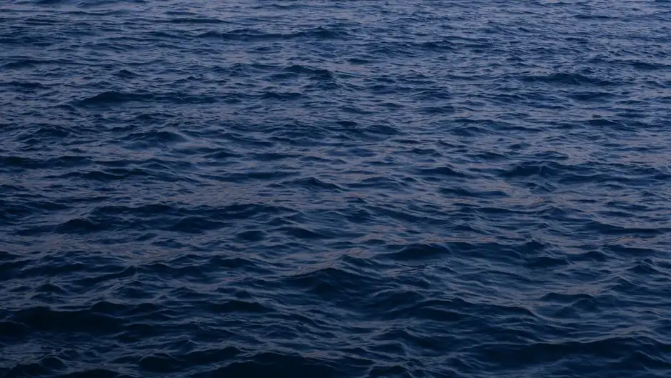 6Mo Super Austenitic vs Super Duplex for Seawater: Spec Decision