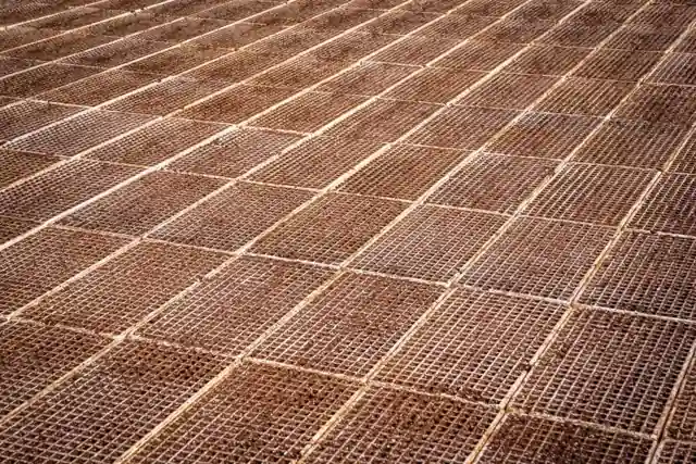 6x6 W1.4 vs W2.9 Welded Wire Reinforcement: Spec Decision