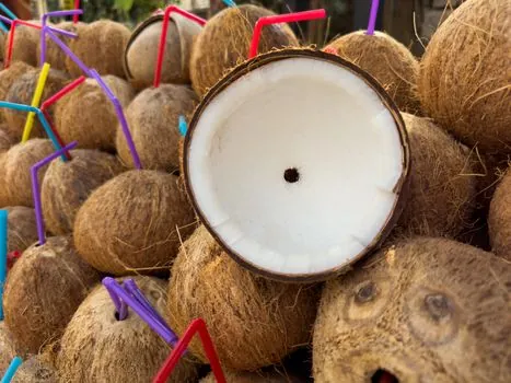 coconut-shell activated carbon supply vs coal-based grades - Cost, Sustainability, and Sourcing Realities