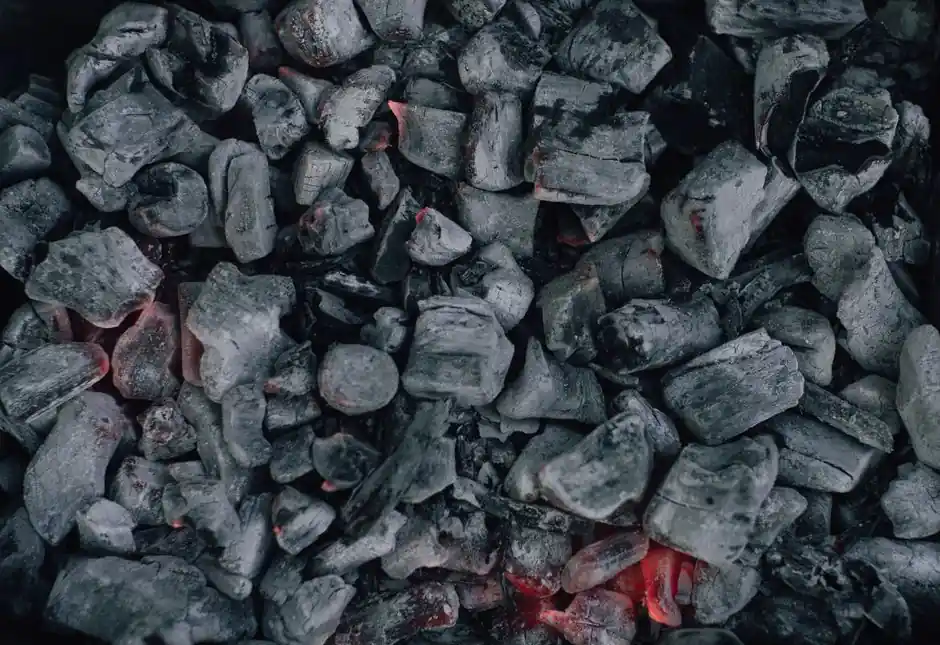 Coconut Shell vs Coal-Based Activated Carbon: Spec-by-Spec Selection Guide