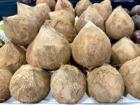 coconut-shell activated carbon supply vs coal-based grades - VOC, PFAS, and Gold: Where Coconut Shell Wins