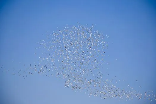 DRAM node migration 1b and 1c share 2026 - Why 1b/1c Migration Is the Bottleneck, Not the Cure