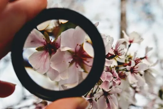 field of view calculation from screen diameter and lens magnification - Common pitfalls and where the formulas break