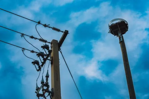 how much has grid equipment inflation added to utility capex? - Headline utility capex, distribution, and ratepayer impact