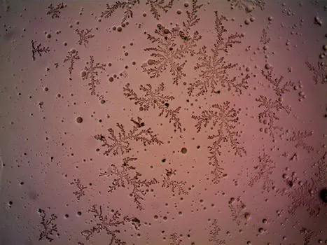 what Hausner ratio indicates poor flowability in a metal powder? - What HR does not tell you, and where it fails