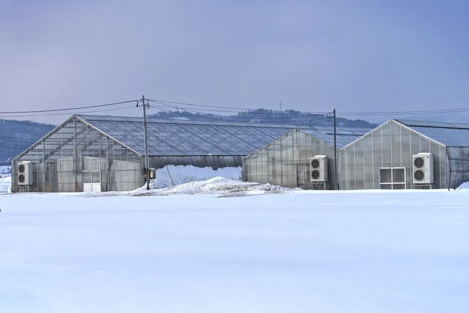 How cold junction compensation works inside a temperature transmitter