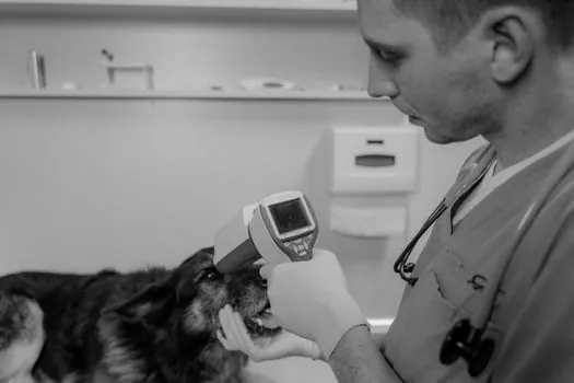 how does an infrared thermometer sense temperature without contact? - Emissivity: The Single Largest Source of Error