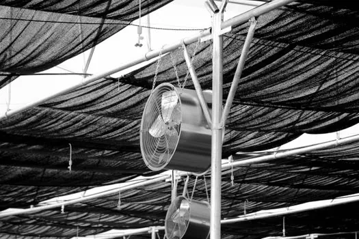 what is the maximum continuous temperature for an NBR oil seal? - Field conditions that move the effective ceiling down