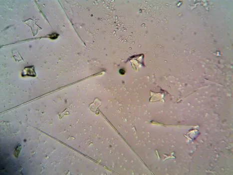 why do NBR parts show wax bloom or plasticizer bleed on the surface? - Fixes that work for each bloom type