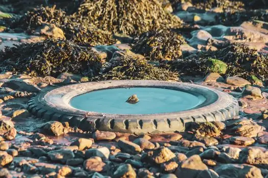 NSF/ANSI 61 rubber sealing washers for drinking water - Failure modes and limits in service