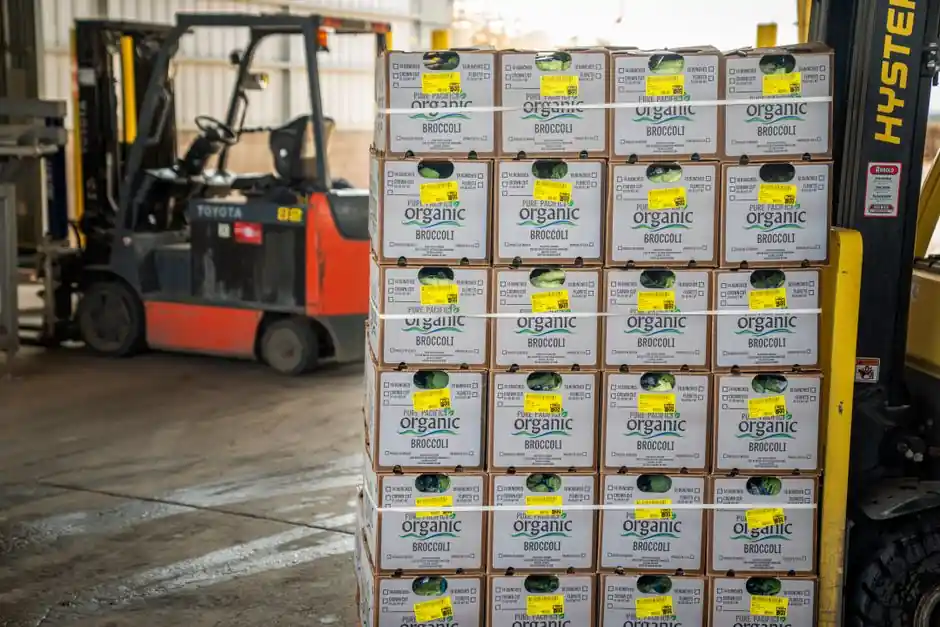 Plastic Pallet Specs: Static vs Dynamic vs Rack Load Capacity