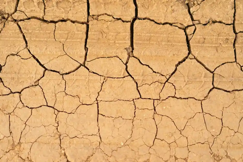 Pre-Dampener Moisture Content for Dry-Mix Shotcrete: 5% Cap and Field Rules