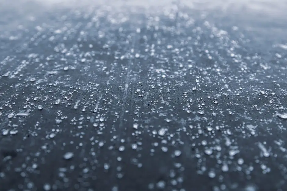 Self-Adhered vs Hot-Applied Sheet Membranes: External Waterproofing Decision