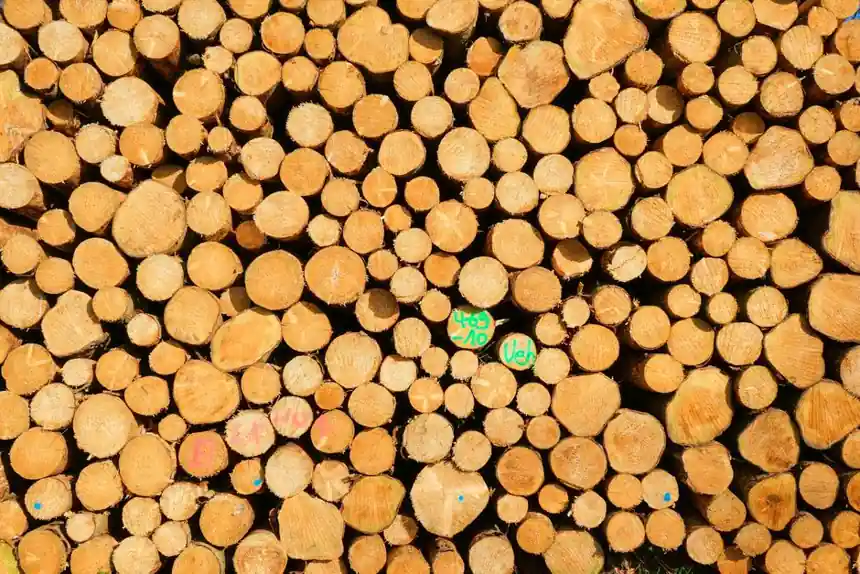 Shock Absorber Sizing for Pulp and Paper: Roll Stops, Conveyors, and Oscillating Screens