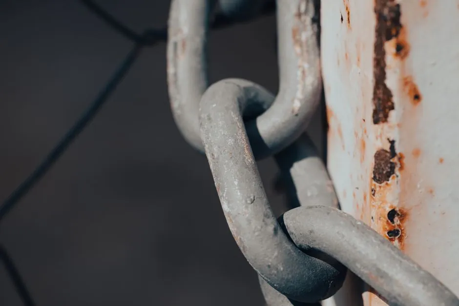 Spring Steel vs Stainless Spring Washer: Corrosion Specs Compared