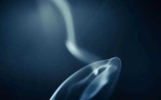 what is the difference between a UL 217 smoke alarm and a UL 268 smoke detector? - Standards to anchor a written spec