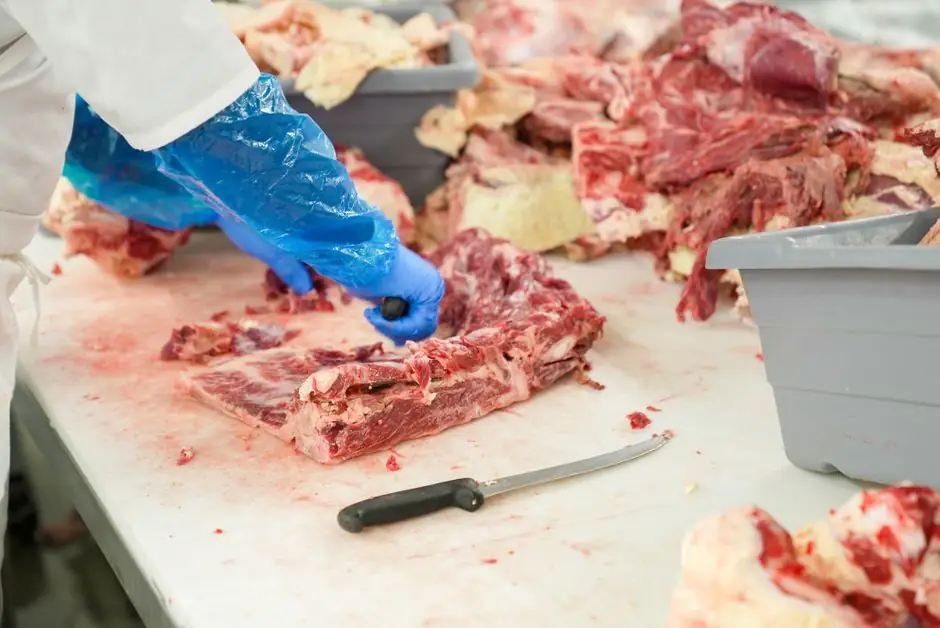 V-Belt Selection for Food Processing Drives