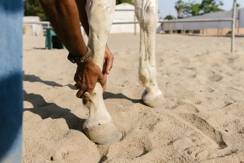 When to Stress Long Post-Tensioning Tendons From Both Ends