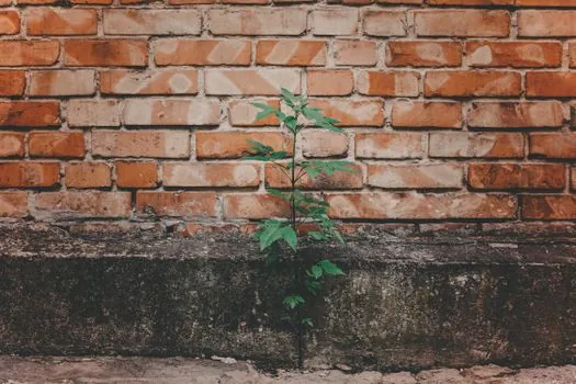why is MDI used instead of TDI in rigid polyurethane insulation? - Cost, Processing, and Why Plants Do Not Switch Back
